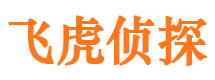 凤泉市侦探调查公司